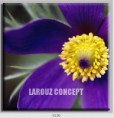 /album/photo-gallery-canvas-uri/decoratiuni-de-perete-canvas-lc-0130-jpg/